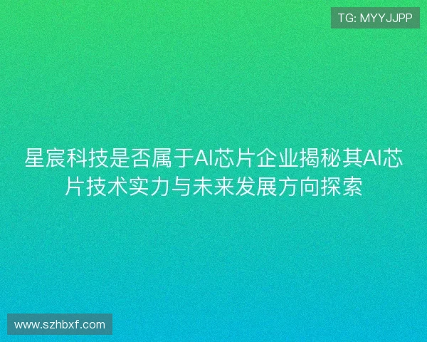 星宸科技是否属于AI芯片企业揭秘其AI芯片技术实力与未来发展方向探索